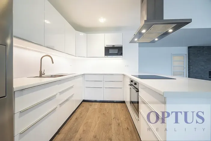 Pronájem bytu 6+kk a větší, Praha - Staré Město, Dušní, 218 m2