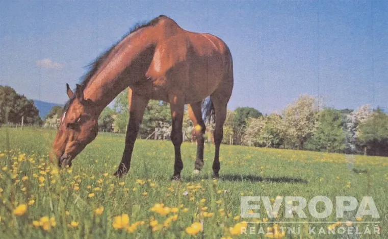 Prodej pole, Hradec Králové, 6364 m2