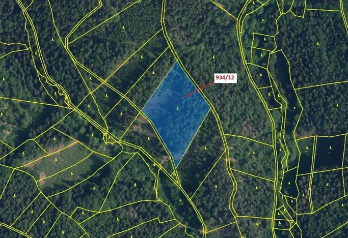 Dražba lesa, Jílové u Držkova, 10166 m2