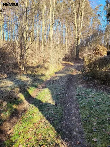 Prodej chaty, Sýkořice, 24 m2