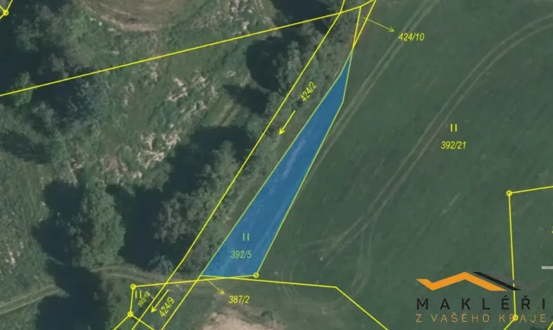 Prodej louky, Horní Radouň - Starý Bozděchov, 16013 m2