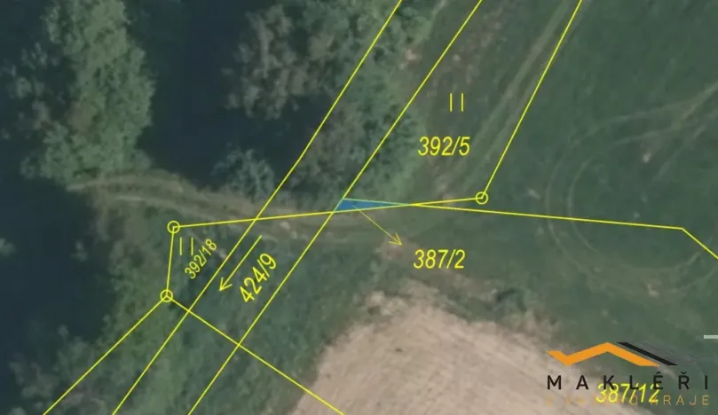 Prodej louky, Horní Radouň - Starý Bozděchov, 16013 m2