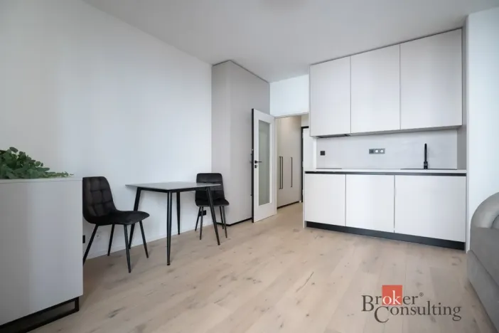 Pronájem bytu 1+kk, Praha - Vršovice, Krymská, 25 m2