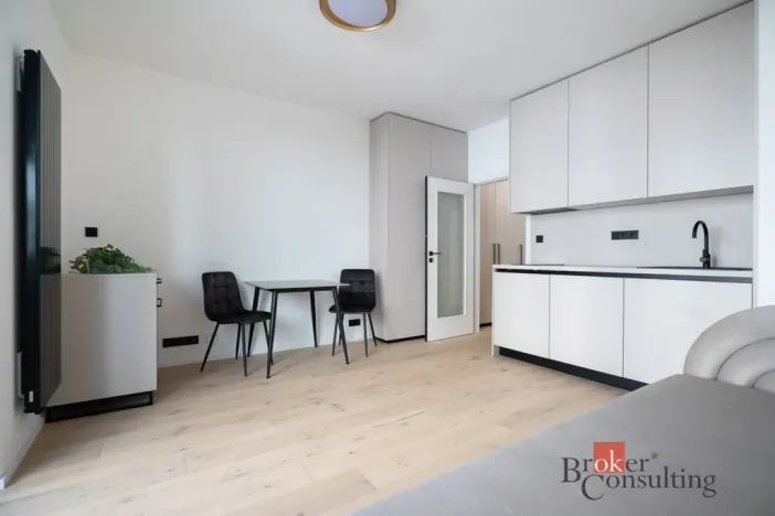 Pronájem bytu 1+kk, Praha - Vršovice, Krymská, 25 m2