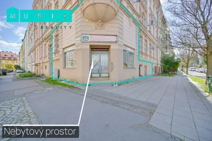 Prodej obchodního prostoru, Olomouc - Nová Ulice, Resslova, 38 m2