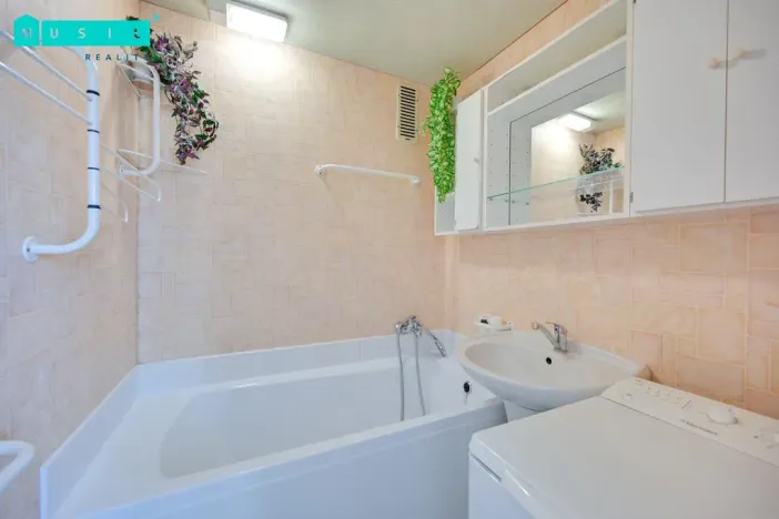 Pronájem bytu 3+1, Olomouc - Nová Ulice, Pionýrská, 60 m2