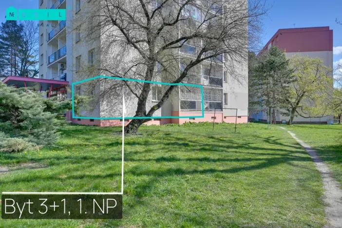 Pronájem bytu 3+1, Olomouc - Nová Ulice, Pionýrská, 60 m2