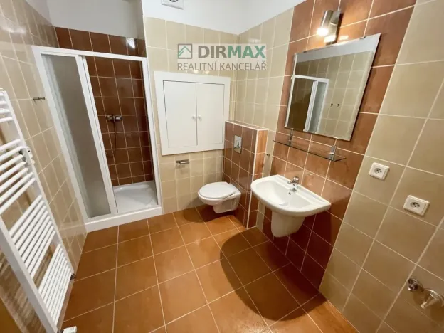 Pronájem bytu 1+kk, Plzeň - Jižní Předměstí, Goldscheiderova, 39 m2