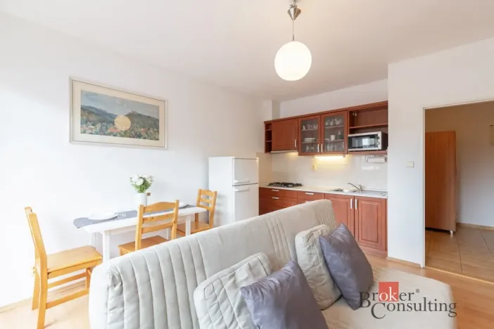 Pronájem bytu 2+kk, Brno - Židenice, Pechova, 43 m2