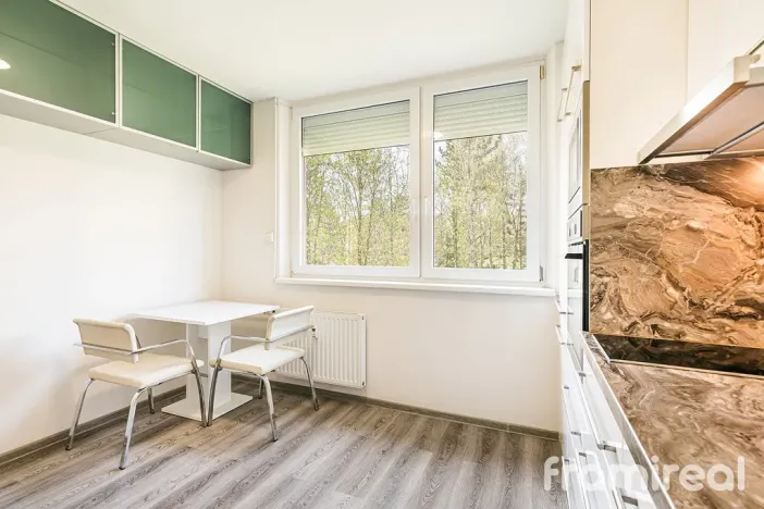 Pronájem bytu 1+1, Brno, Voříškova, 32 m2