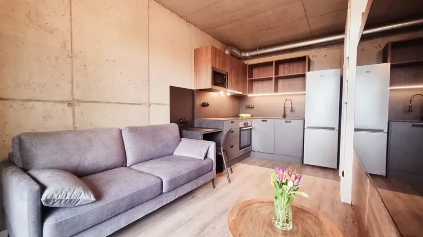 Pronájem bytu 1+kk, Brno, V rejích, 20 m2