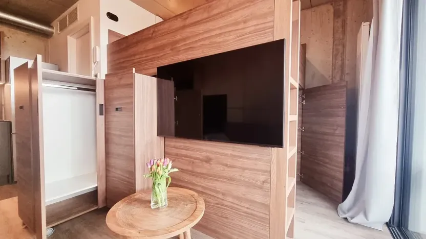 Pronájem bytu 1+kk, Brno, V rejích, 20 m2