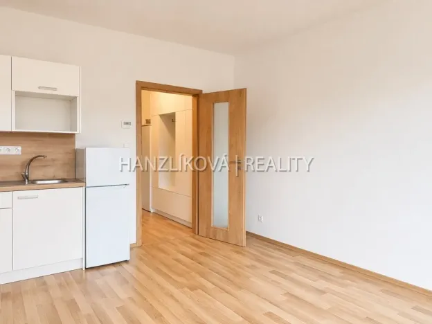 Pronájem bytu 1+kk, České Budějovice, 33 m2