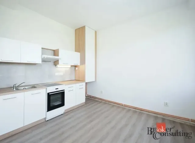 Pronájem bytu 2+kk, Mlékojedy, 50 m2