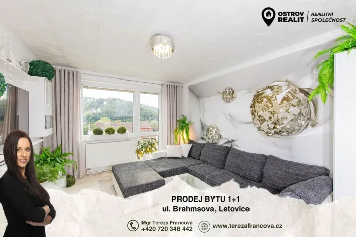 Prodej bytu 1+1, Letovice, Brahmsova, 52 m2