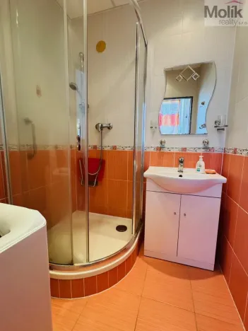 Pronájem bytu 3+1, Most, M. G. Dobnera, 63 m2