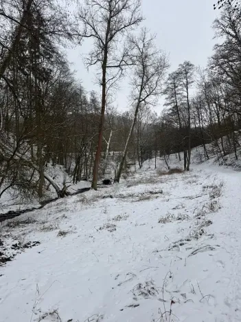 Prodej lesa, Chotiměř, 26763 m2