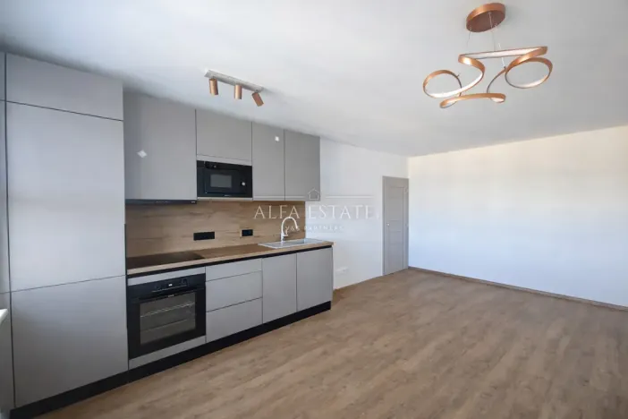Prodej bytu 3+kk, Karlovy Vary - Drahovice, Východní, 61 m2