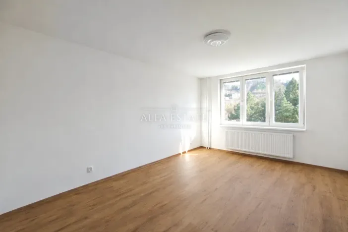 Prodej bytu 3+kk, Karlovy Vary - Drahovice, Východní, 61 m2