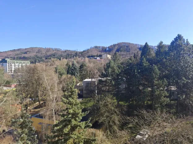 Prodej bytu 3+kk, Karlovy Vary - Drahovice, Východní, 61 m2