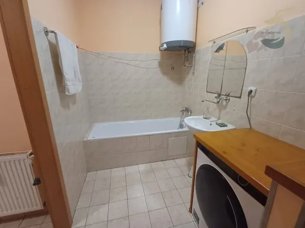 Pronájem bytu 1+kk, Štěnovice, Skalní, 40 m2