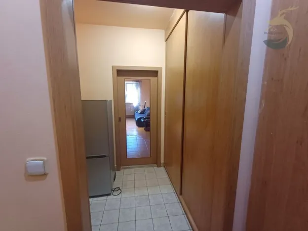 Pronájem bytu 1+kk, Štěnovice, Skalní, 40 m2