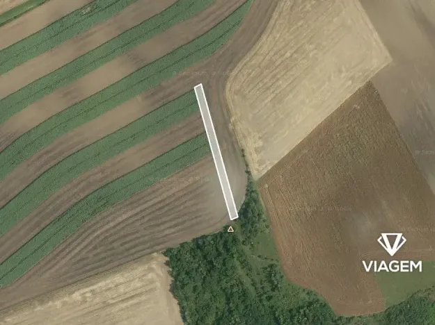 Prodej podílu pole, Bučovice, 395 m2