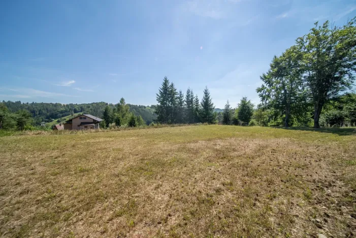 Prodej pozemku pro bydlení, Zábřeh - Dolní Bušínov, 829 m2