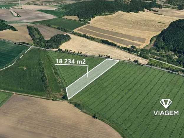 Prodej pole, Moravské Knínice, 18234 m2