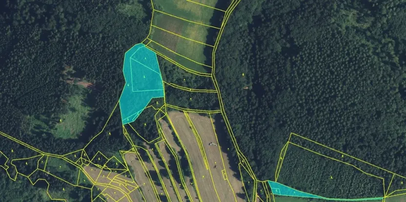 Prodej lesa, Drozdov, 11901 m2