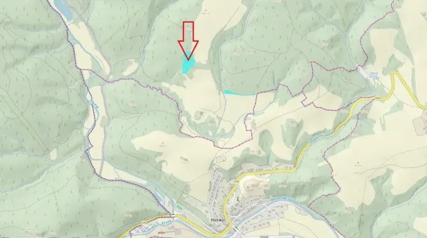 Prodej lesa, Drozdov, 11901 m2