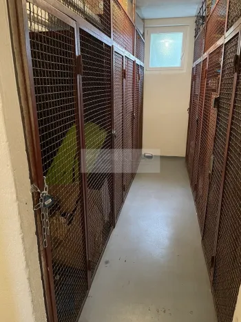 Prodej bytu 3+1, Mladá Boleslav, U stadionu, 86 m2