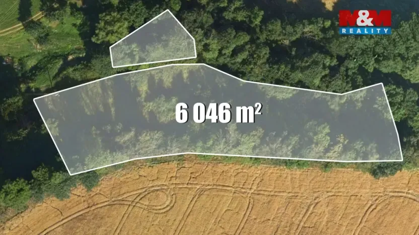 Prodej louky, Bílá - Hradčany, 6046 m2