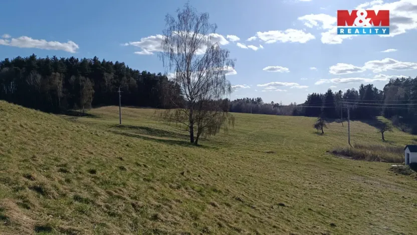 Prodej louky, Janův Důl, 2749 m2