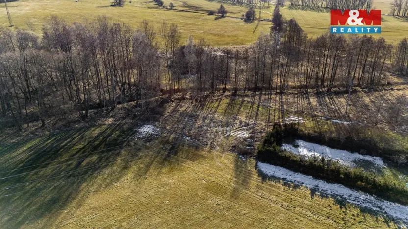 Prodej louky, Dětřichov, 4178 m2