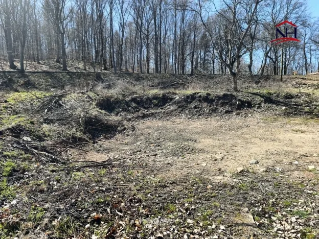 Prodej pozemku pro bydlení, Litvínov - Horní Ves, 1259 m2