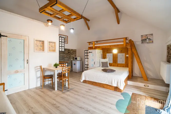 Prodej chalupy, Malšín - Ostrov, 360 m2