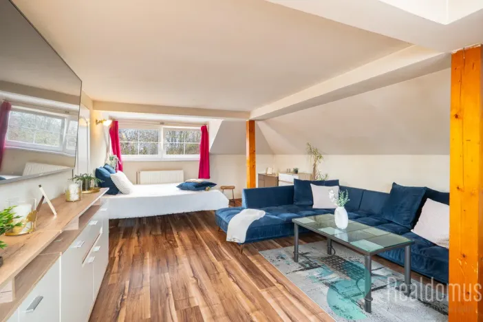 Prodej apartmánu, Český Krumlov, Hřbitovní, 270 m2