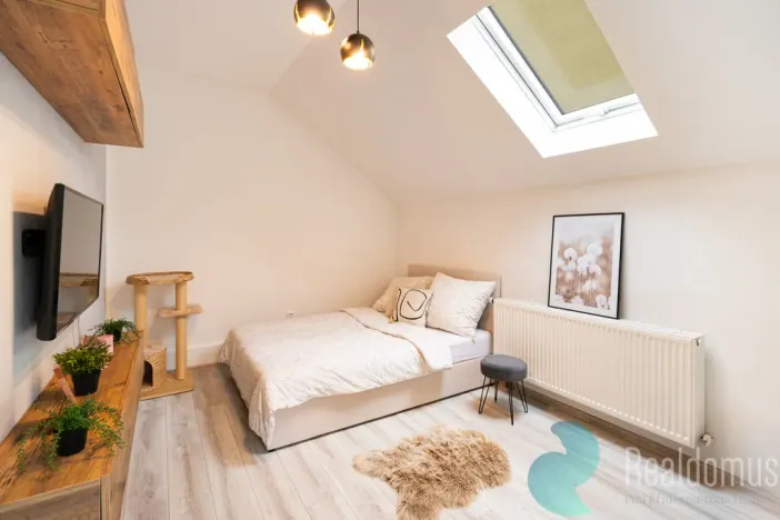 Prodej apartmánu, Český Krumlov, Hřbitovní, 270 m2