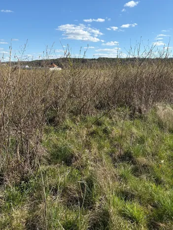 Prodej pole, Dolní Bousov, 11084 m2