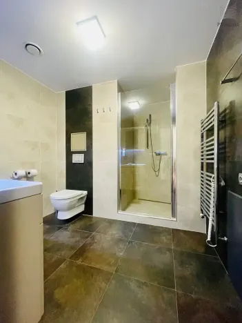 Pronájem bytu 1+kk, Brno, Cihlářská, 38 m2