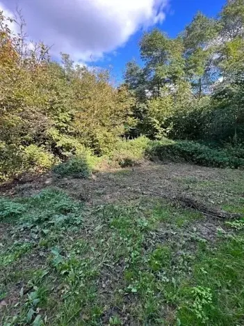 Prodej lesa, Březolupy, 1340 m2