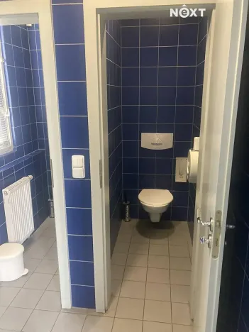 Pronájem obchodního prostoru, Tábor, Světlogorská, 163 m2