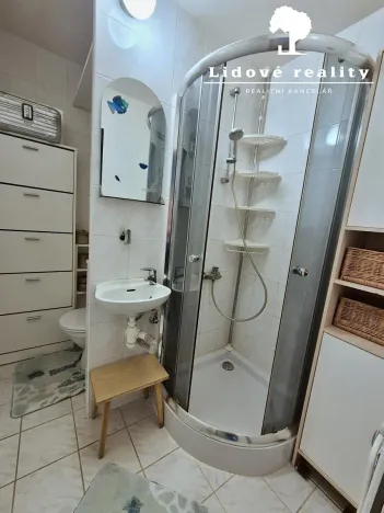 Prodej bytu 1+kk, Frýdek-Místek, 32 m2