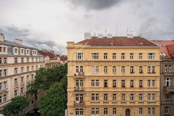 Pronájem bytu 3+kk, Praha - Vinohrady, Třebízského, 120 m2