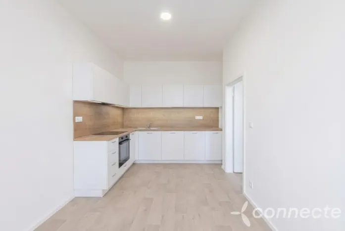 Pronájem bytu 4+kk, Přerov - Přerov I-Město, Husova, 63 m2