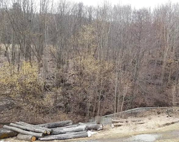 Prodej pozemku, Oskava, 5983 m2