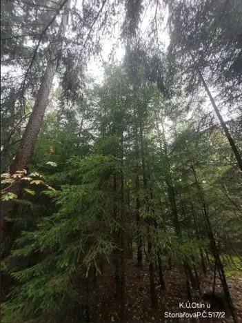 Prodej lesa, Otín, 829 m2