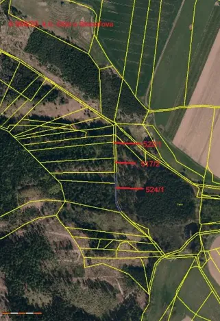 Prodej lesa, Otín, 829 m2