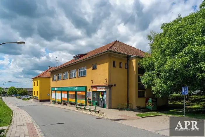 Pronájem obchodního prostoru, Topolná, 266 m2